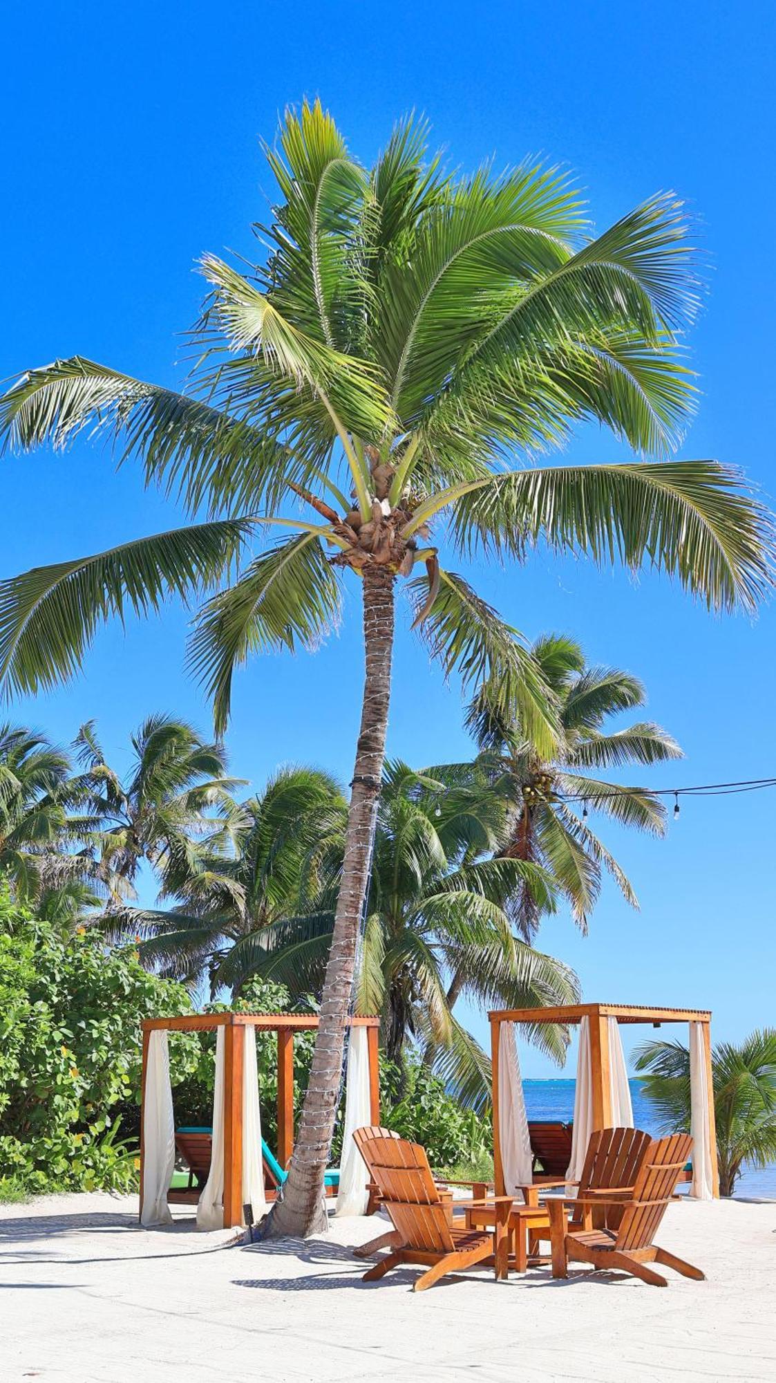 Mangata Villas Adults Only San Pedro  Exteriör bild